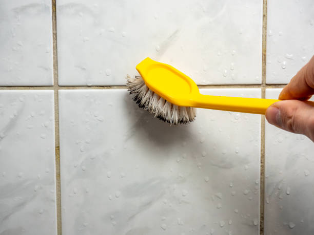 Best Emergency Mold Remediation in Byng, OK