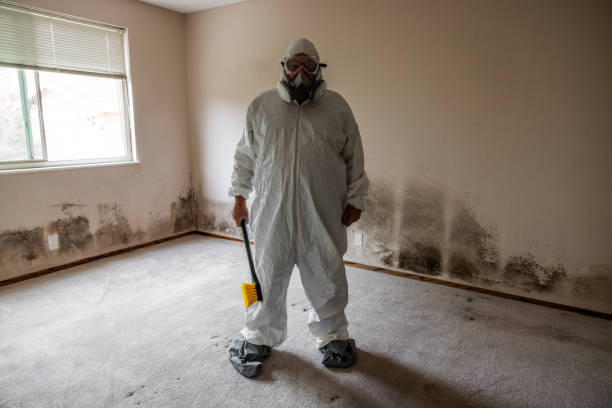 Professional Mold Remediation in Byng, OK